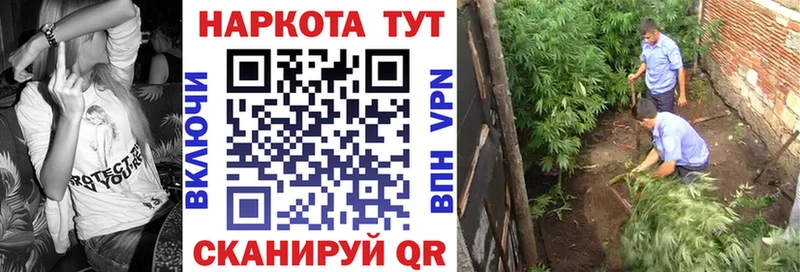 Цена Пионерский Лсд 25 КОКАИН МЕФ Гашиш