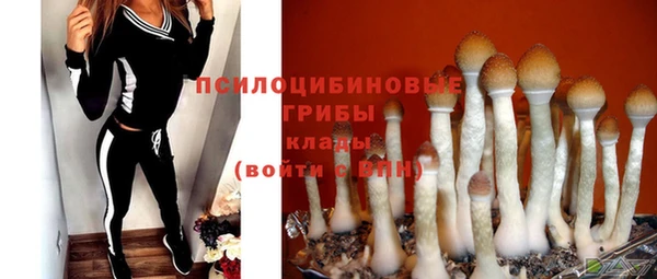 бутират Белокуриха