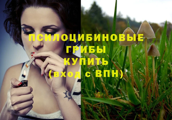 бутират Белокуриха