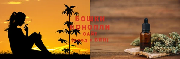 бутират Белокуриха