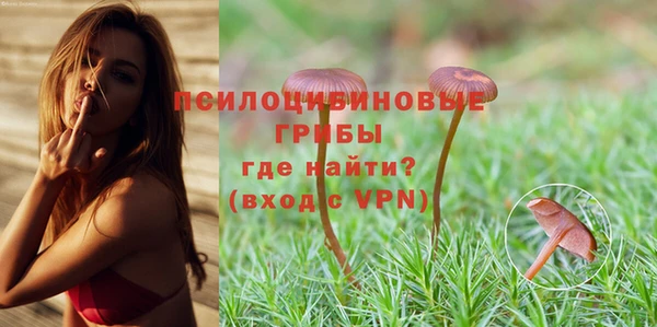 бутират Белокуриха