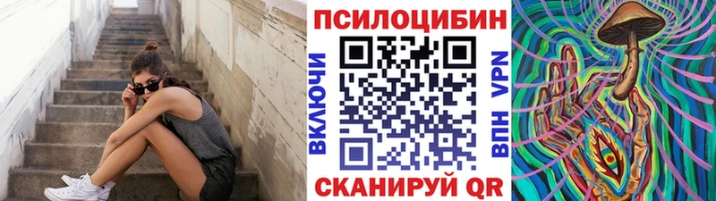 хочу наркоту  Пионерский  Псилоцибиновые грибы прущие грибы 