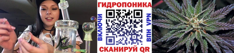 где купить наркоту  mega как войти  Каннабис THC 21%  дарк нет Telegram  Пионерский 